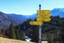 nightshade paralysis information guide