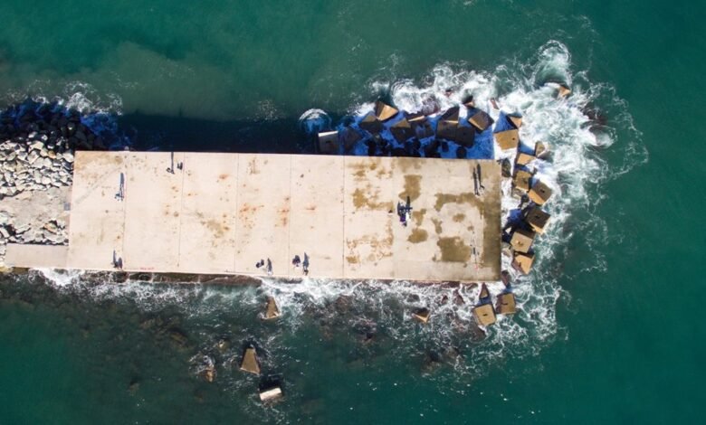 power bet 247 insights and strategies