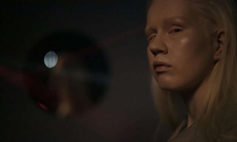 profile highlights and features