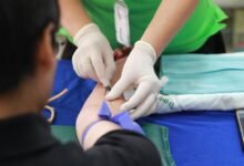 qualia collection services contact guide