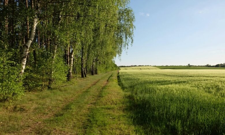 growth edge conversion horizon