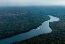 horizon flow growth path