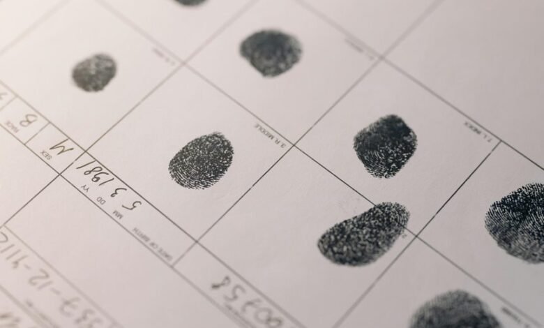 identification report summary